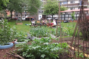 Compost produced from the scheme can be used by local gardening groups